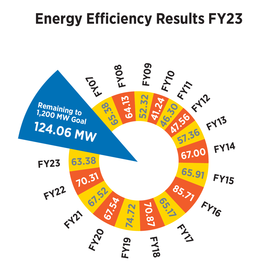 Energy Efficiency Results